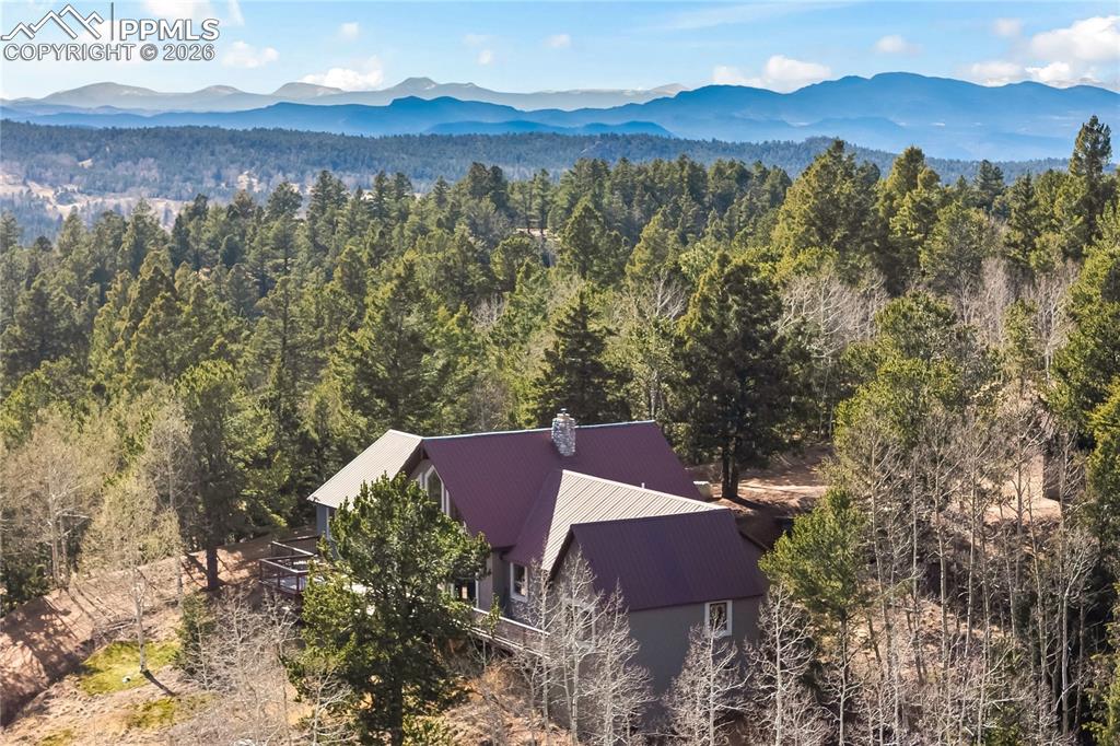 1008 Cantiberry Road Divide, CO 80814 - Photo 31 of 37