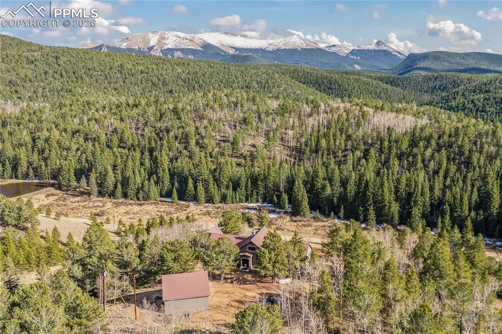 1008 Cantiberry Road Divide, CO 80814 - Photo 35 of 37