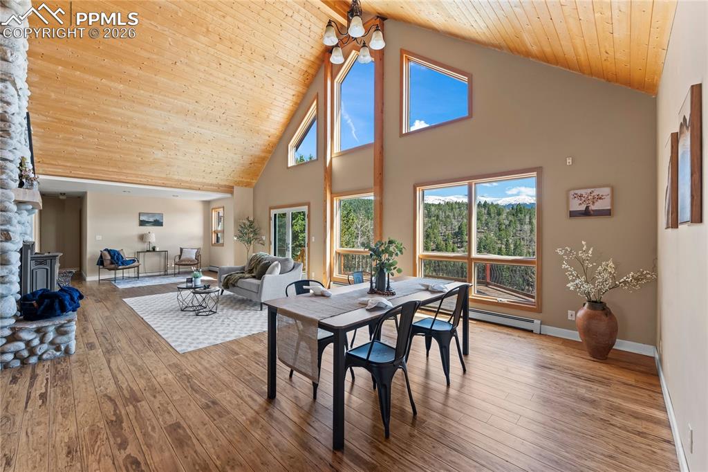 1008 Cantiberry Road Divide, CO 80814 - Photo 8 of 37