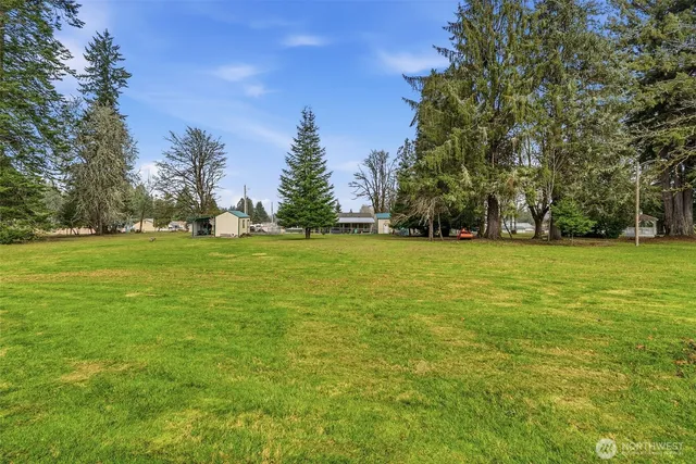 a view of a green field with trees in the background