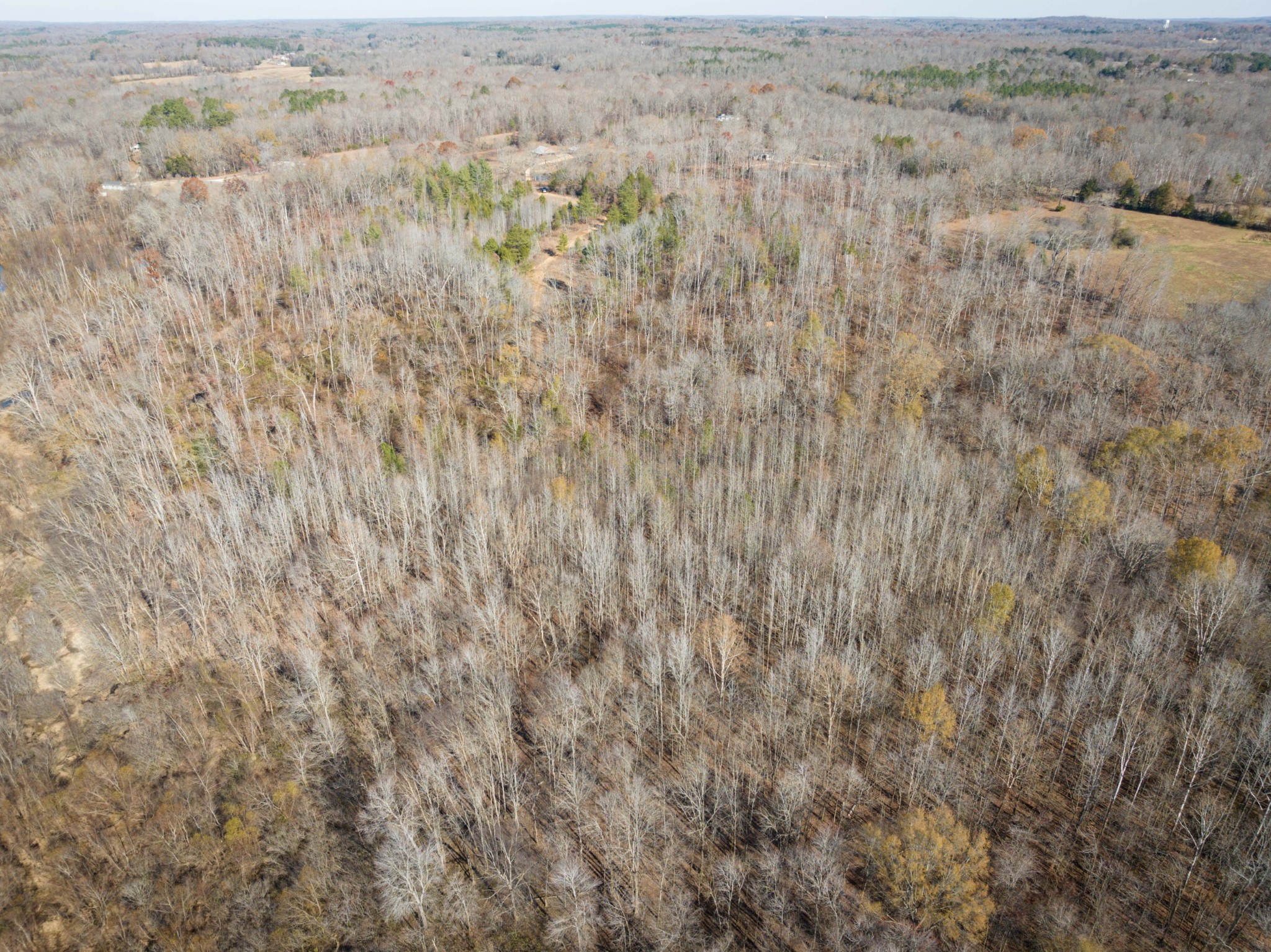 0 Tomlin Chapel Road Parsons, TN 38363 - Photo 3 of 12 a view of a dry yard