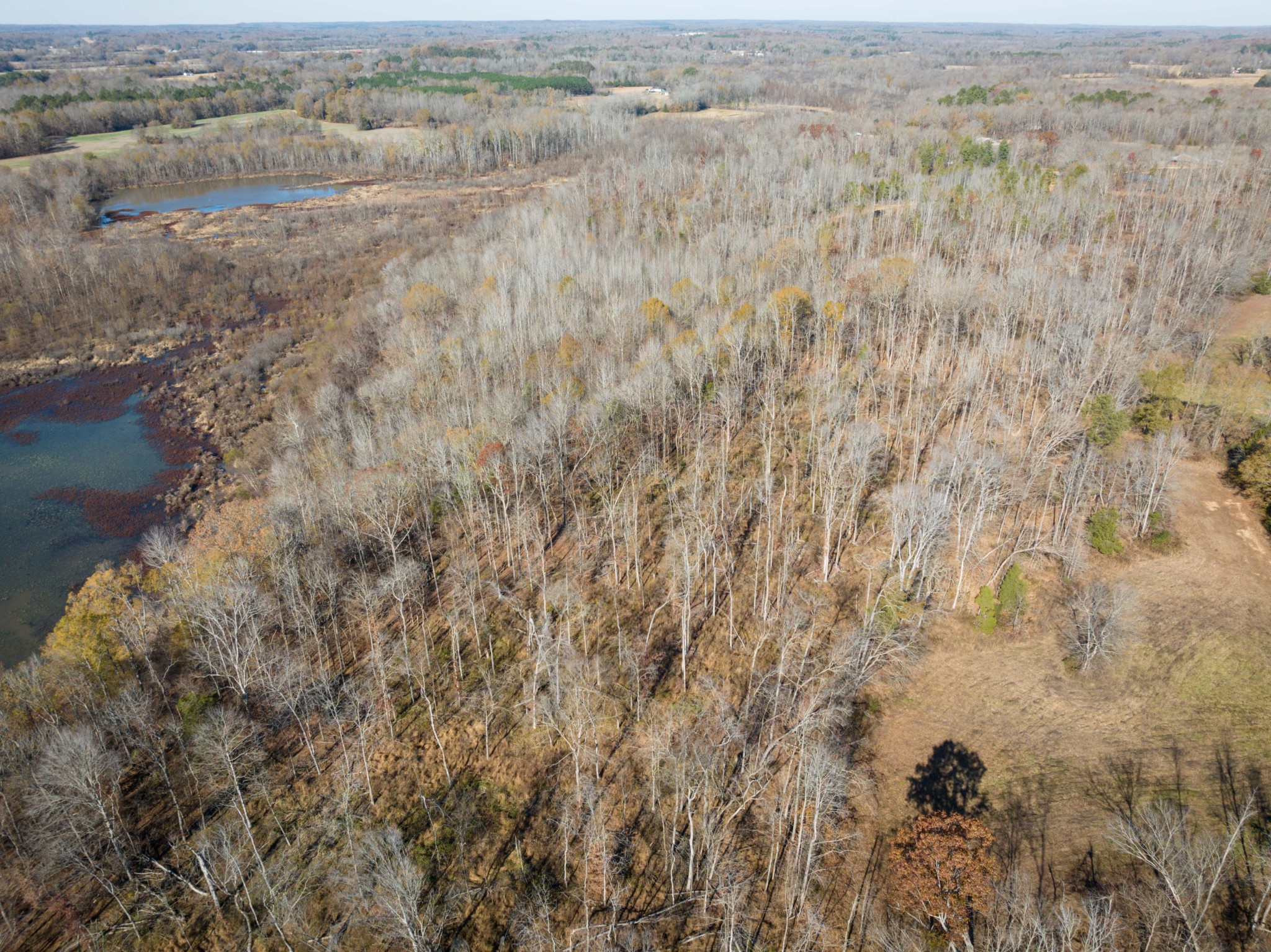 0 Tomlin Chapel Road Parsons, TN 38363 - Photo 8 of 12 a view of a dry yard