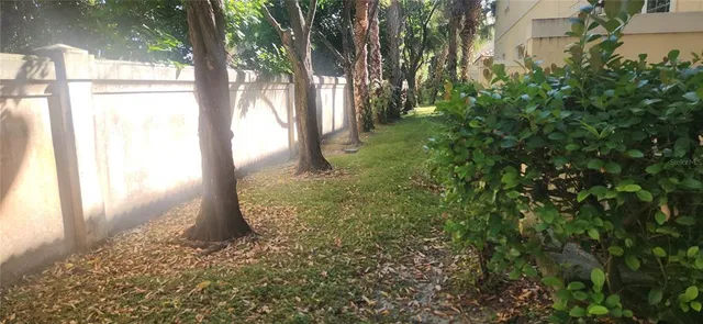 a view of a yard with an outdoor space