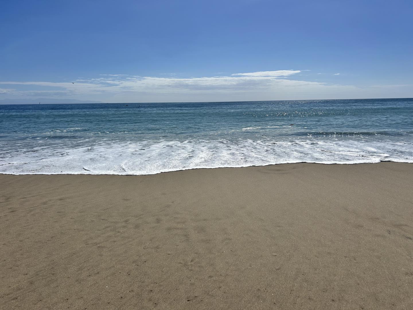 207 2nd Avenue Santa Cruz, CA 95062 - Photo 36 of 38 a view of empty room with floor to ceiling window