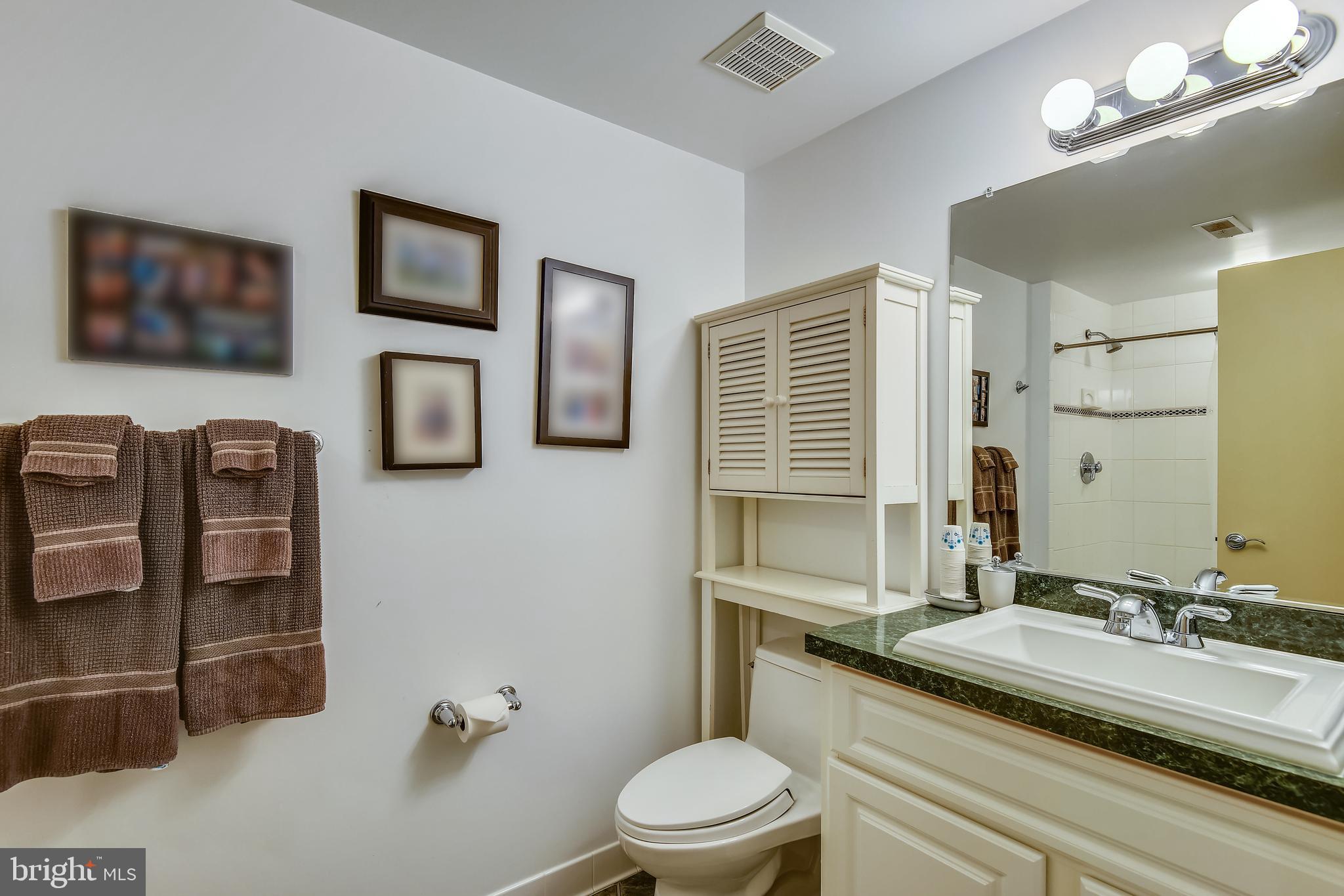 1623 Wyatts Ridge Road Crownsville, MD 21032 - Photo 36 of 45 LOWER LEVEL FULL BATH #5