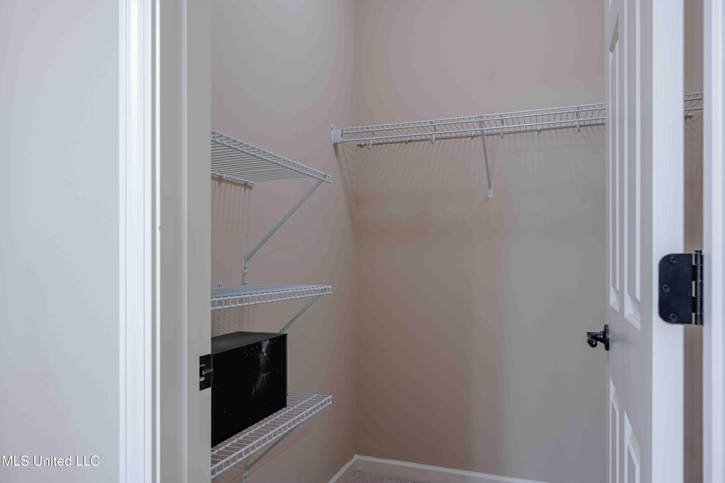 3318 Jade Lane Southaven, MS 38672 - Photo 23 of 30 Primary closet-1