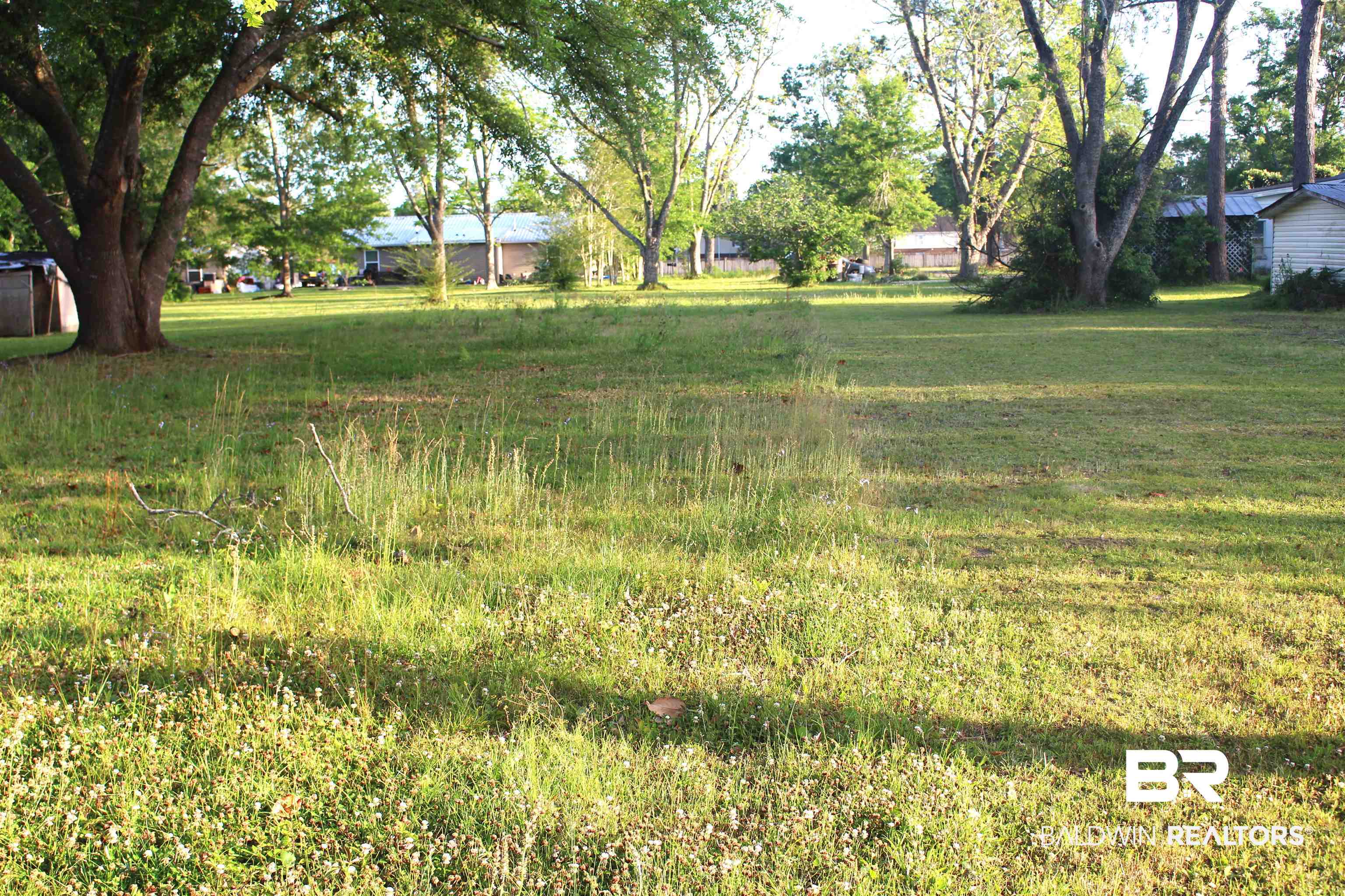 Chestnut Street Elberta, AL 36530 - Photo 2 of 3