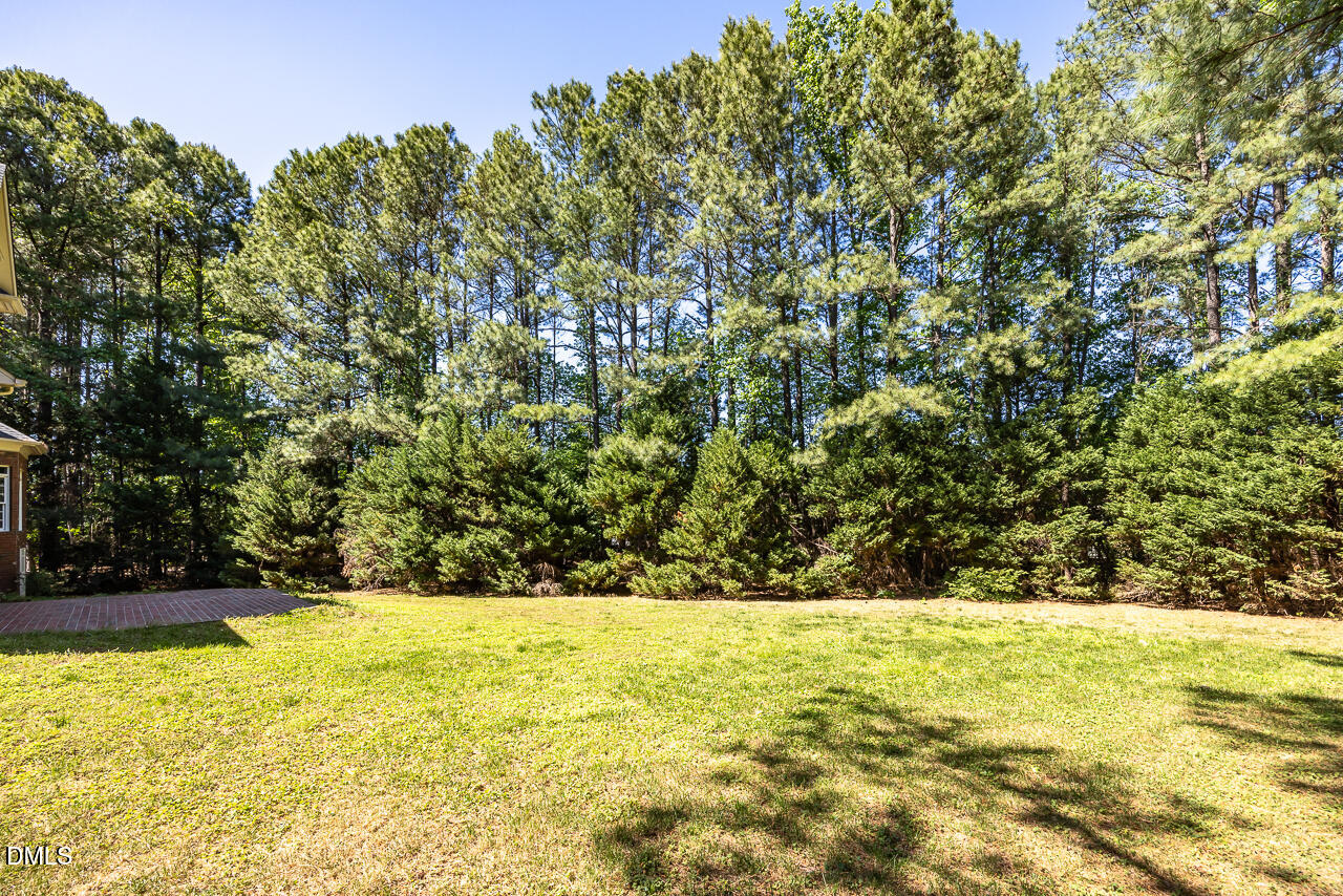4004 Frontenac Court Apex, NC 27539 - Photo 52 of 61 a view of yard with swimming pool
