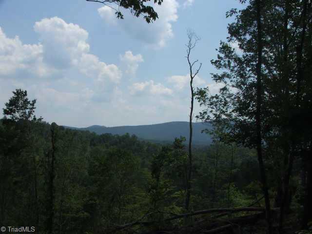0 Peewee Cromer Road Danbury, NC 27016 - Photo 2 of 9 Other.