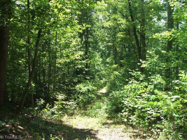 0 Peewee Cromer Road Danbury, NC 27016 - Photo 3 of 9 Other.