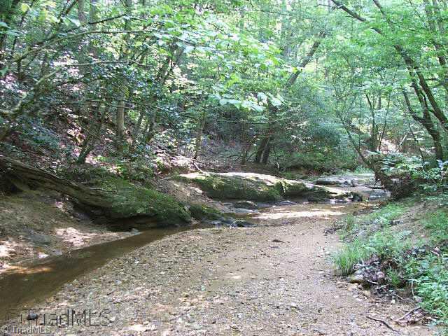 0 Peewee Cromer Road Danbury, NC 27016 - Photo 7 of 9 Other.