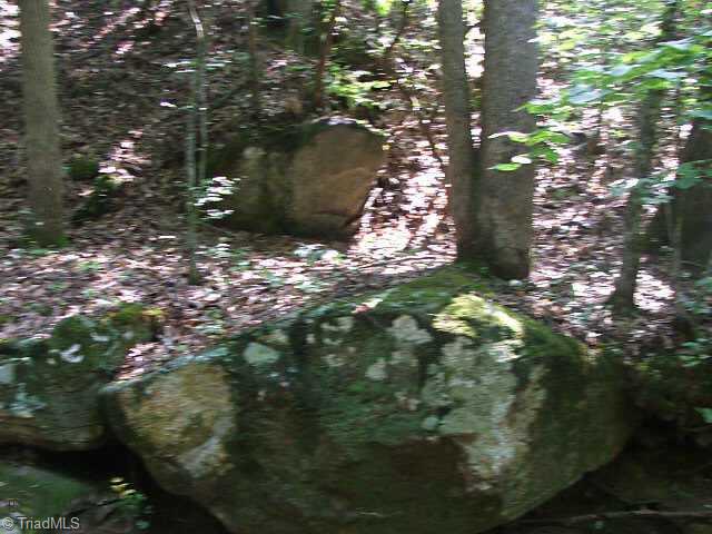 0 Peewee Cromer Road Danbury, NC 27016 - Photo 8 of 9 Other.