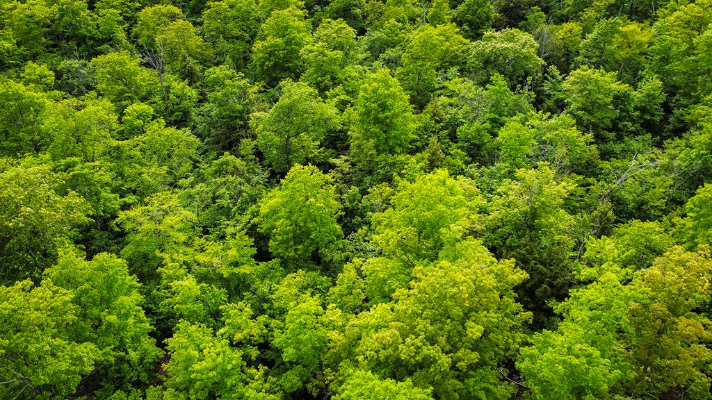 Tbd Lot4 Isle View Road Ellison Bay, WI 54210 - Photo 10 of 20