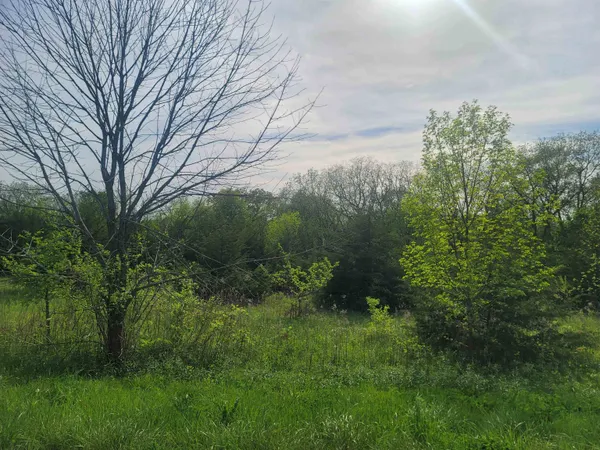 $12,000 | 136 Blackhawk Trace, Galena, IL 61036