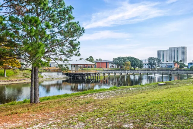 a view of a lake with a large trees