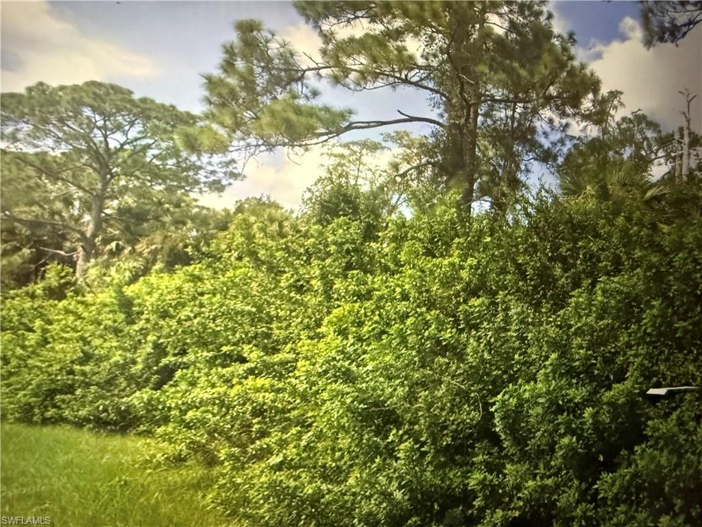 5th Street Northwest Naples, FL 34120 - Photo 3 of 4 a view of a yard
