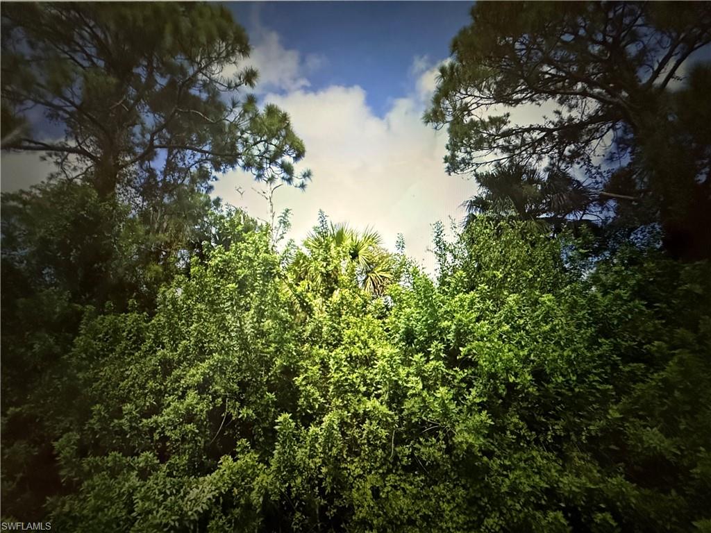 5th Street Northwest Naples, FL 34120 - Photo 4 of 4 a view of a tree in a yard