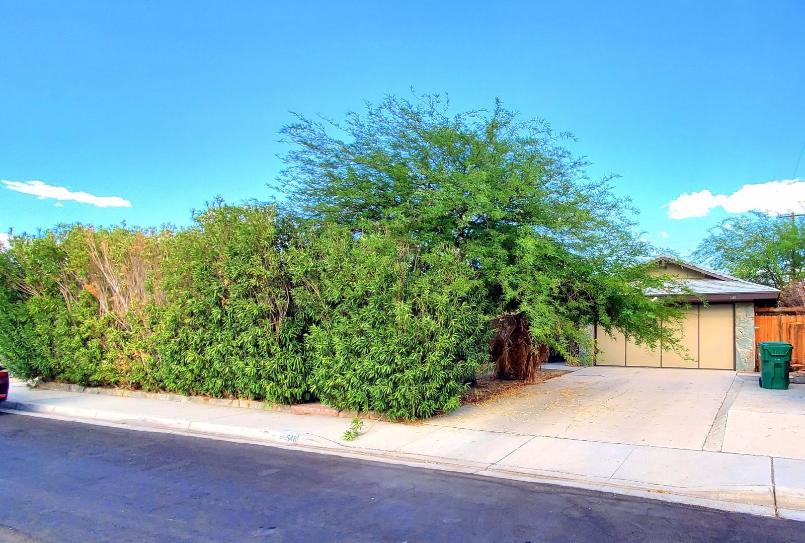 548 South Fairview Street Ridgecrest, CA 93555 - Photo 1 of 35 a view of a garden with plants