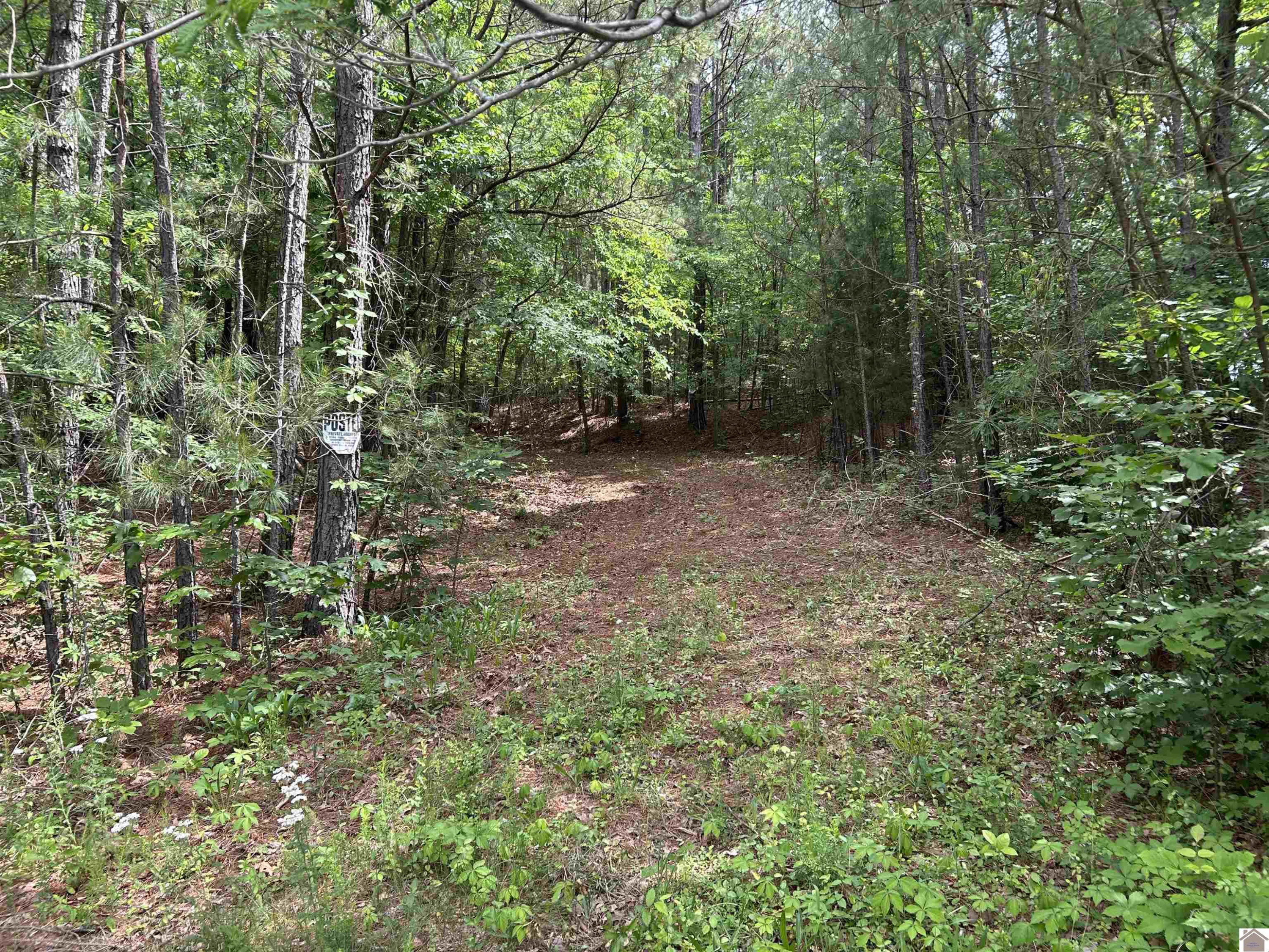 0 Jonathan Point Benton, KY 42025 - Photo 5 of 7 Photo 5