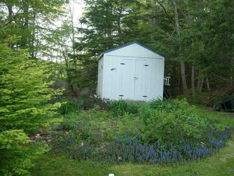 245 North Sedgwick Road Sedgwick, ME 04676 - Photo 34 of 35 Yard/Garden.