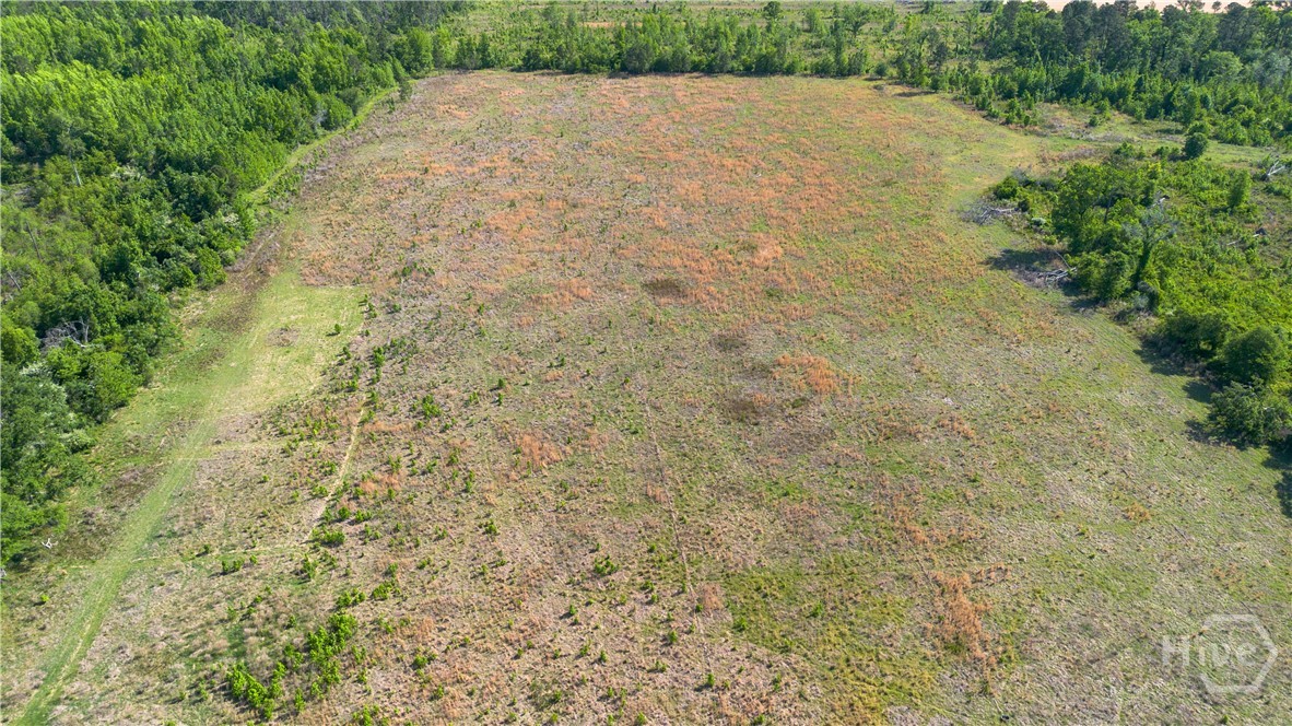 0 Scott Store Road Millen, GA 30442 - Photo 12 of 12