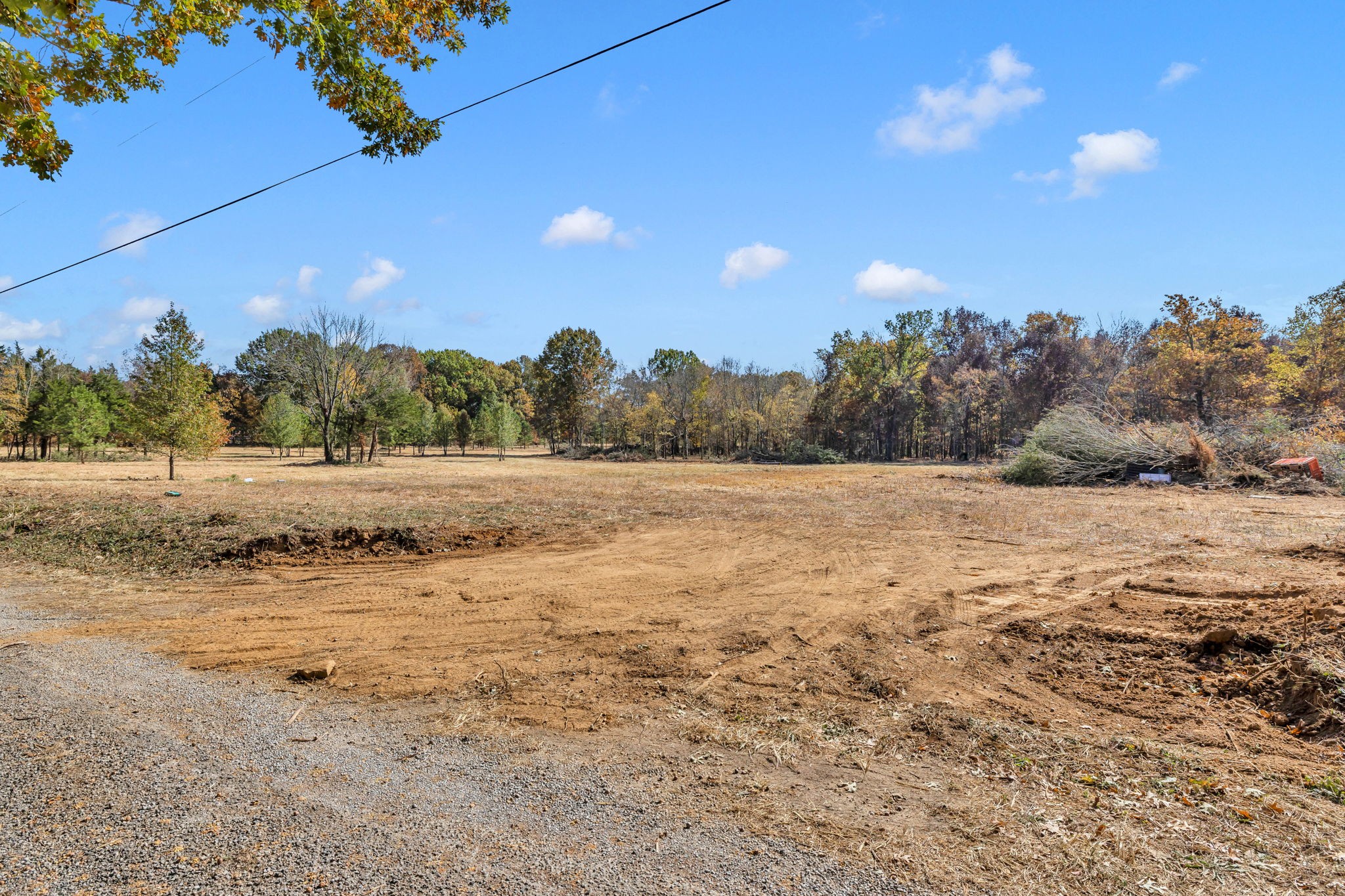 0 Bishop Road Lewisburg, TN 37091 - Photo 2 of 35 a view of a field with trees in background