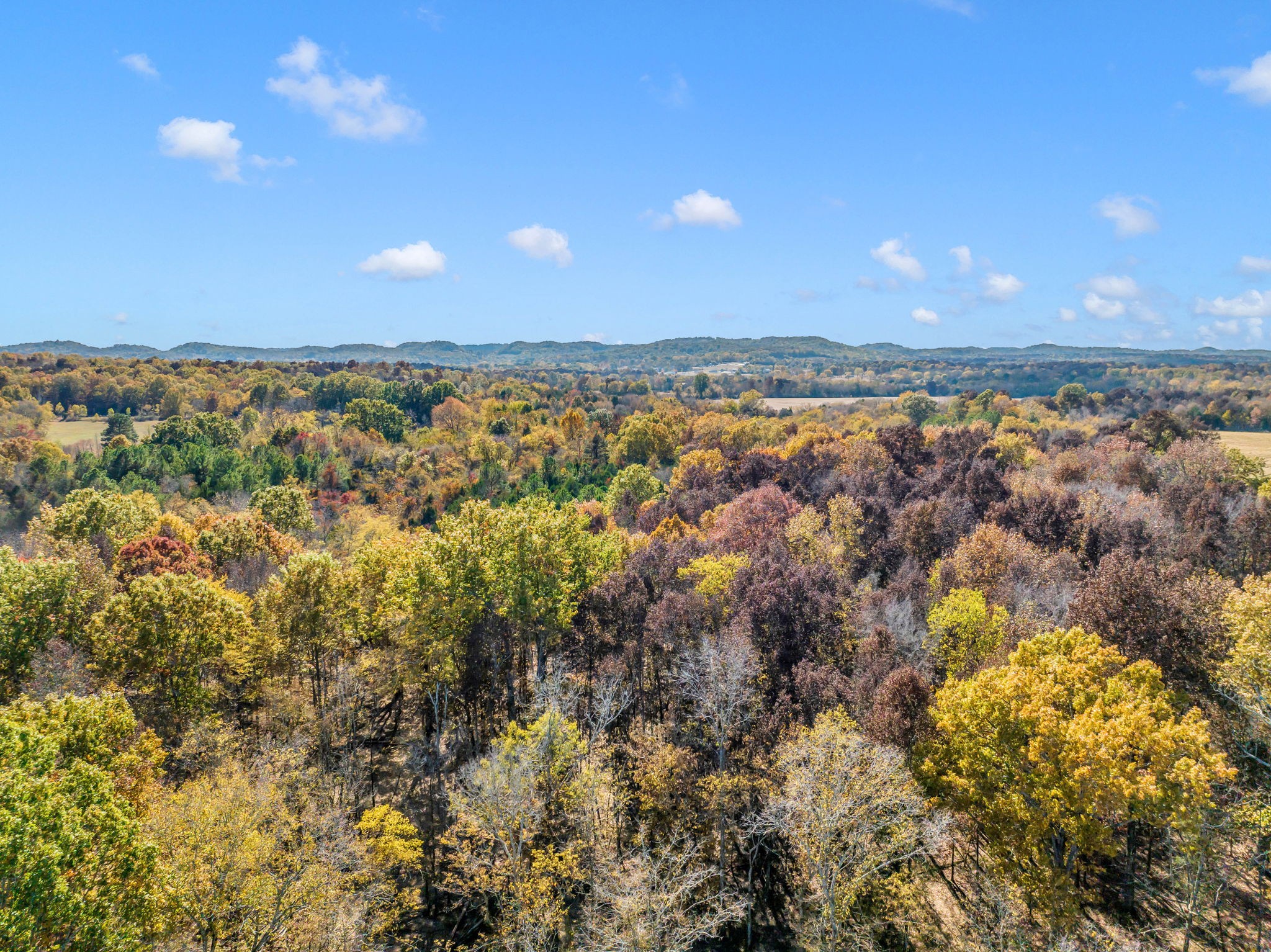 0 Bishop Road Lewisburg, TN 37091 - Photo 25 of 35 a view of city and green space