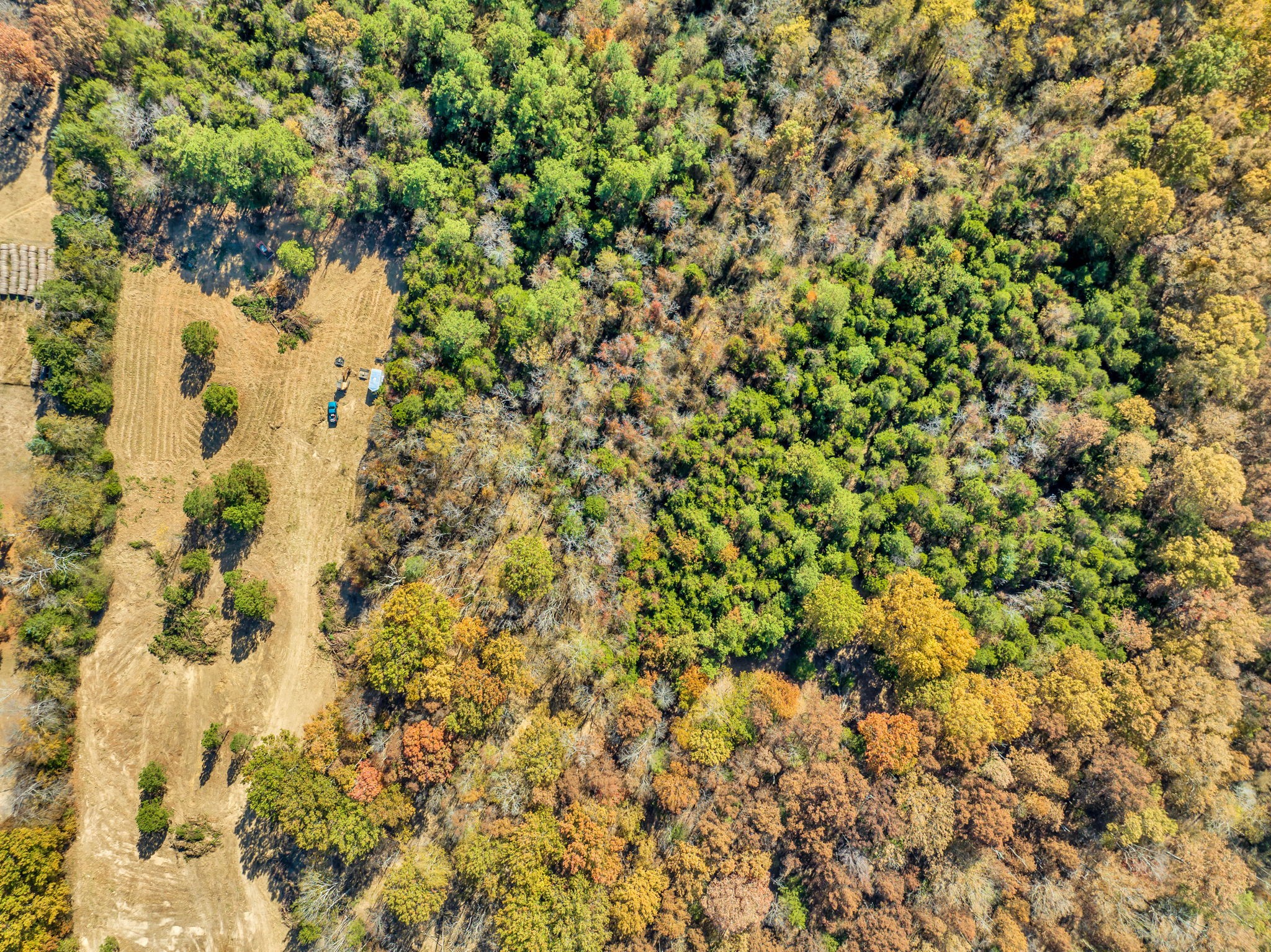 0 Bishop Road Lewisburg, TN 37091 - Photo 27 of 35 a view of a bunch of trees