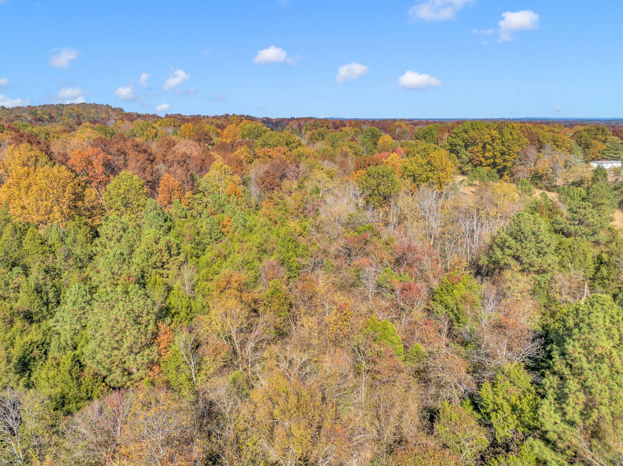 0 Bishop Road Lewisburg, TN 37091 - Photo 29 of 35 a view of city and mountain