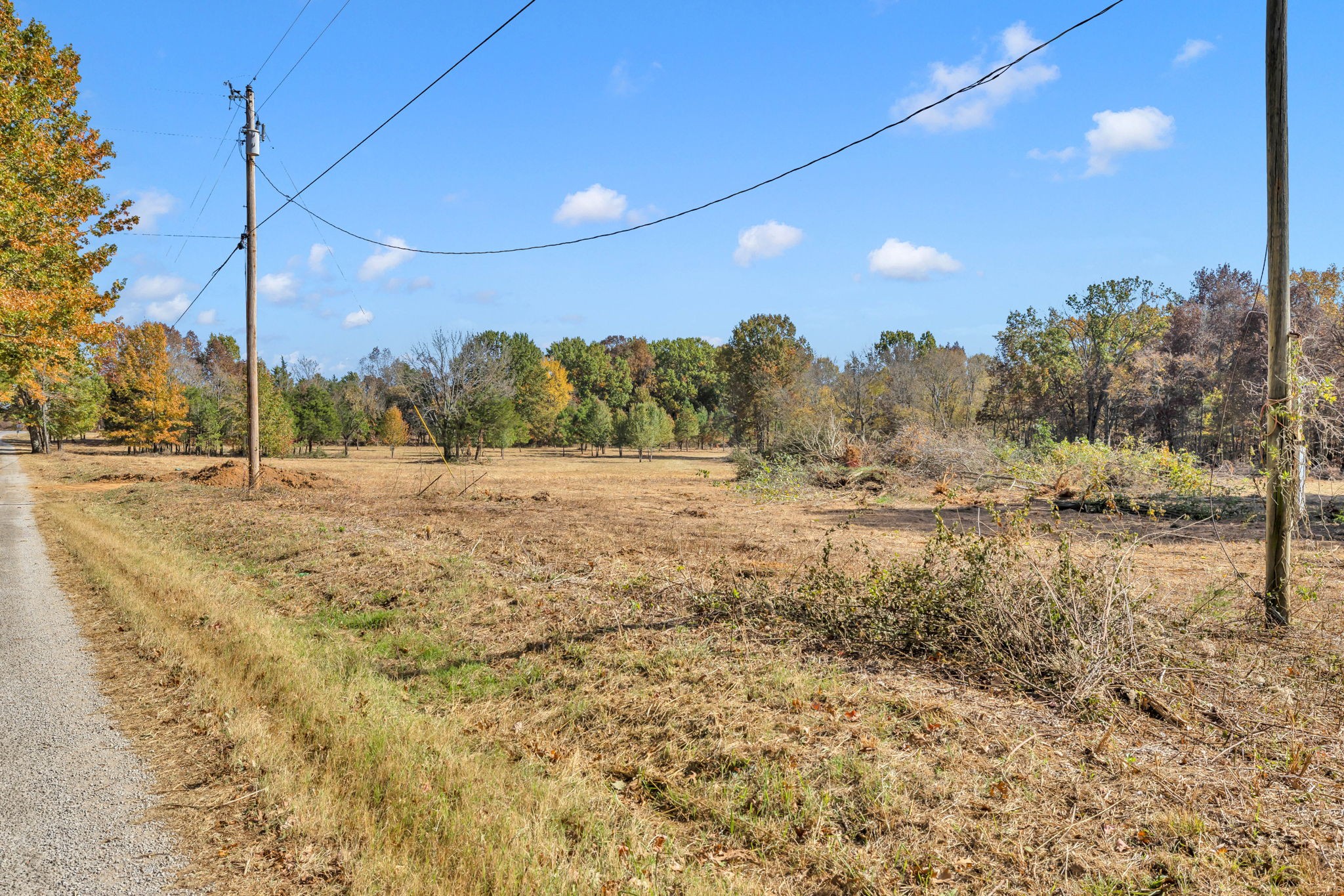 0 Bishop Road Lewisburg, TN 37091 - Photo 3 of 35 a view of a yard with a tree