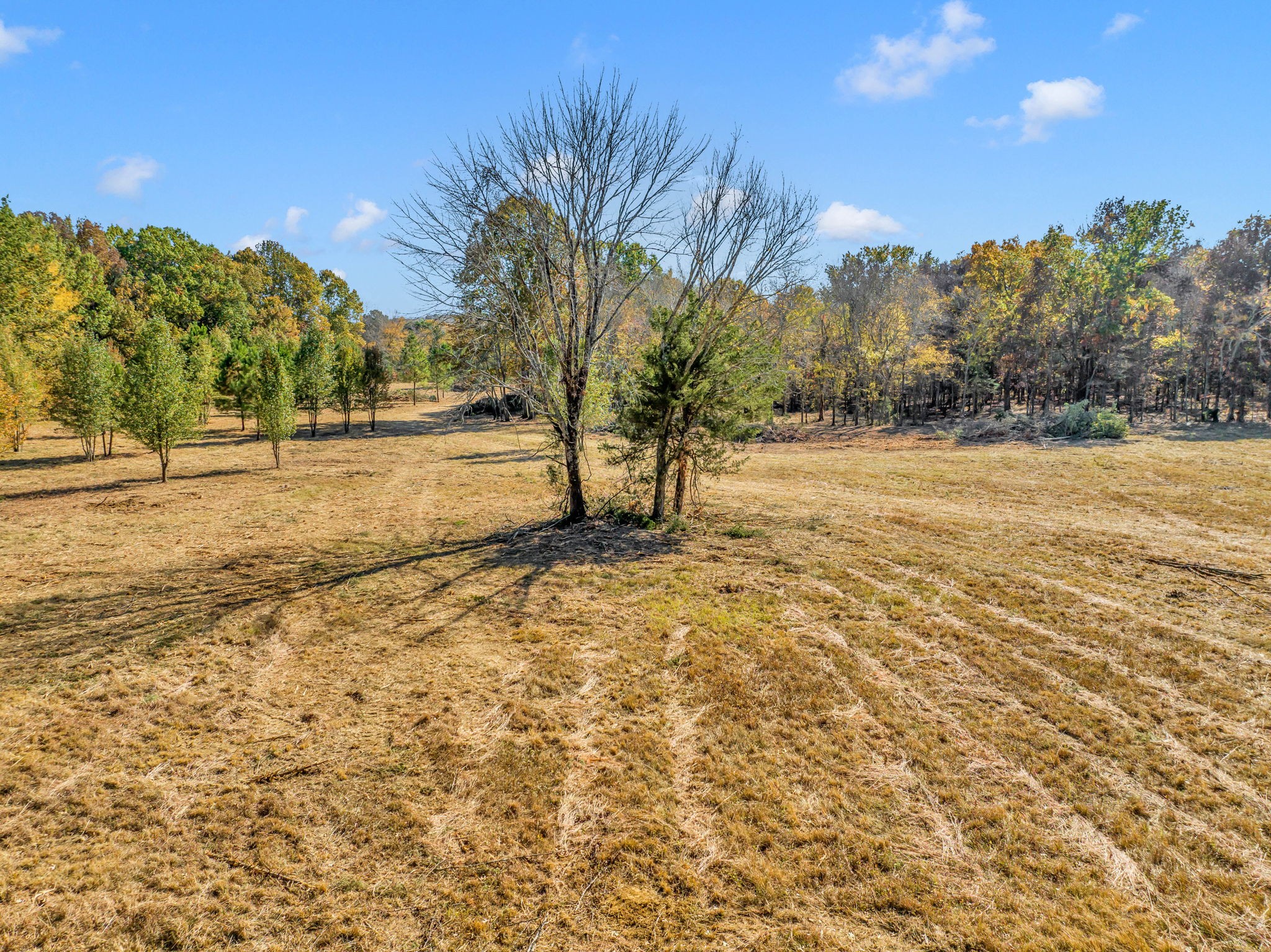 0 Bishop Road Lewisburg, TN 37091 - Photo 33 of 35 a view of beach and ocean