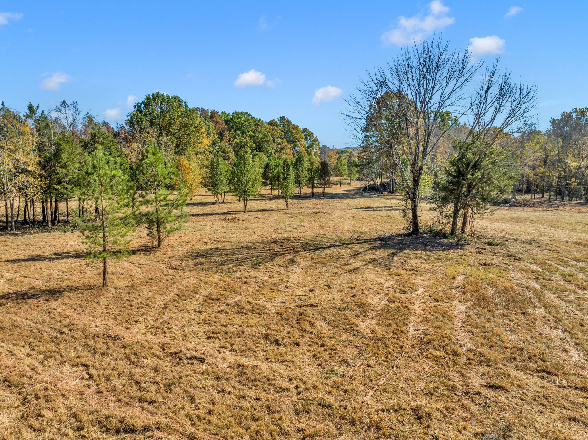 0 Bishop Road Lewisburg, TN 37091 - Photo 34 of 35 a view of empty space with trees