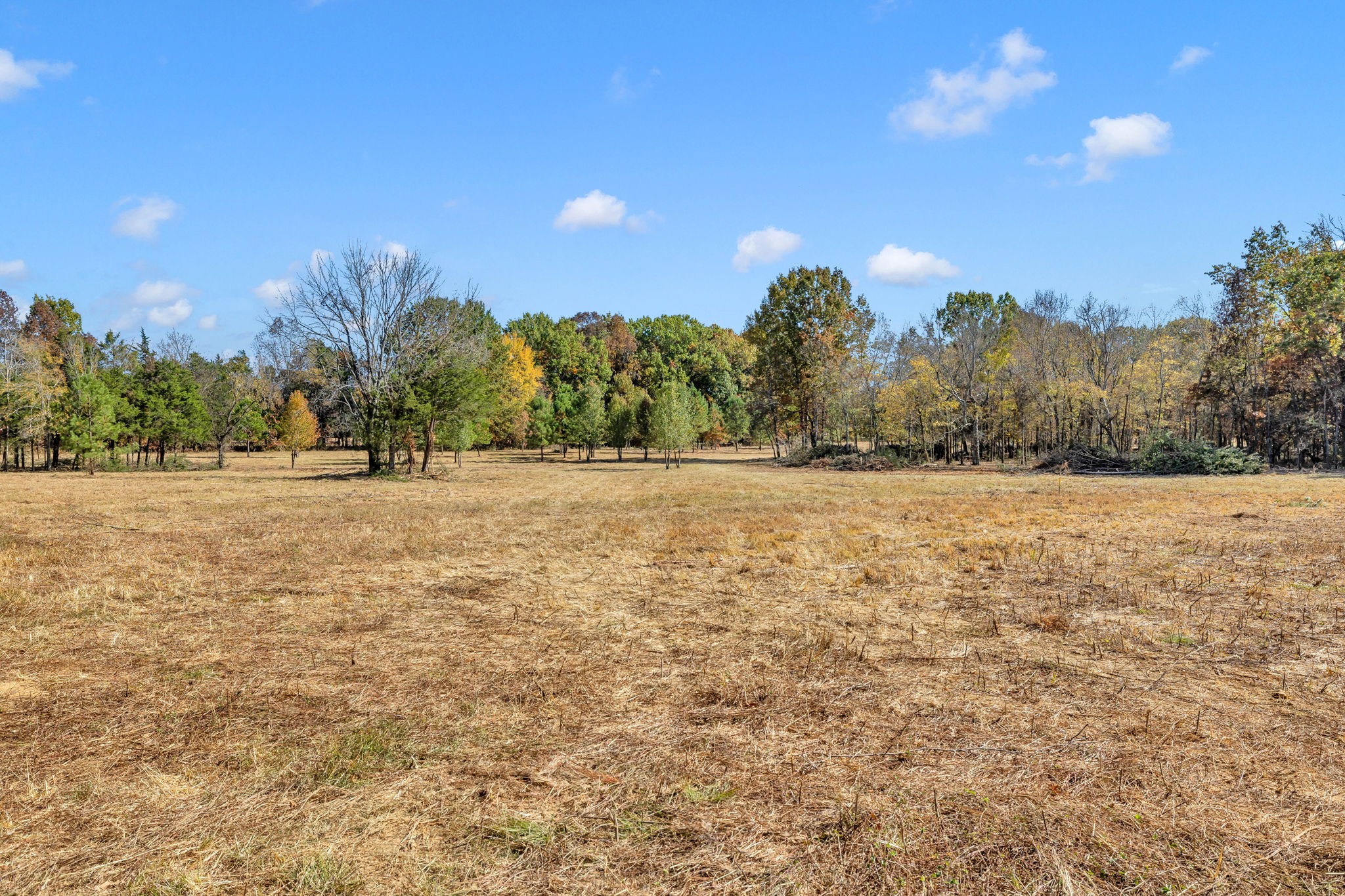 0 Bishop Road Lewisburg, TN 37091 - Photo 5 of 35 a view of outdoor space with mountain view