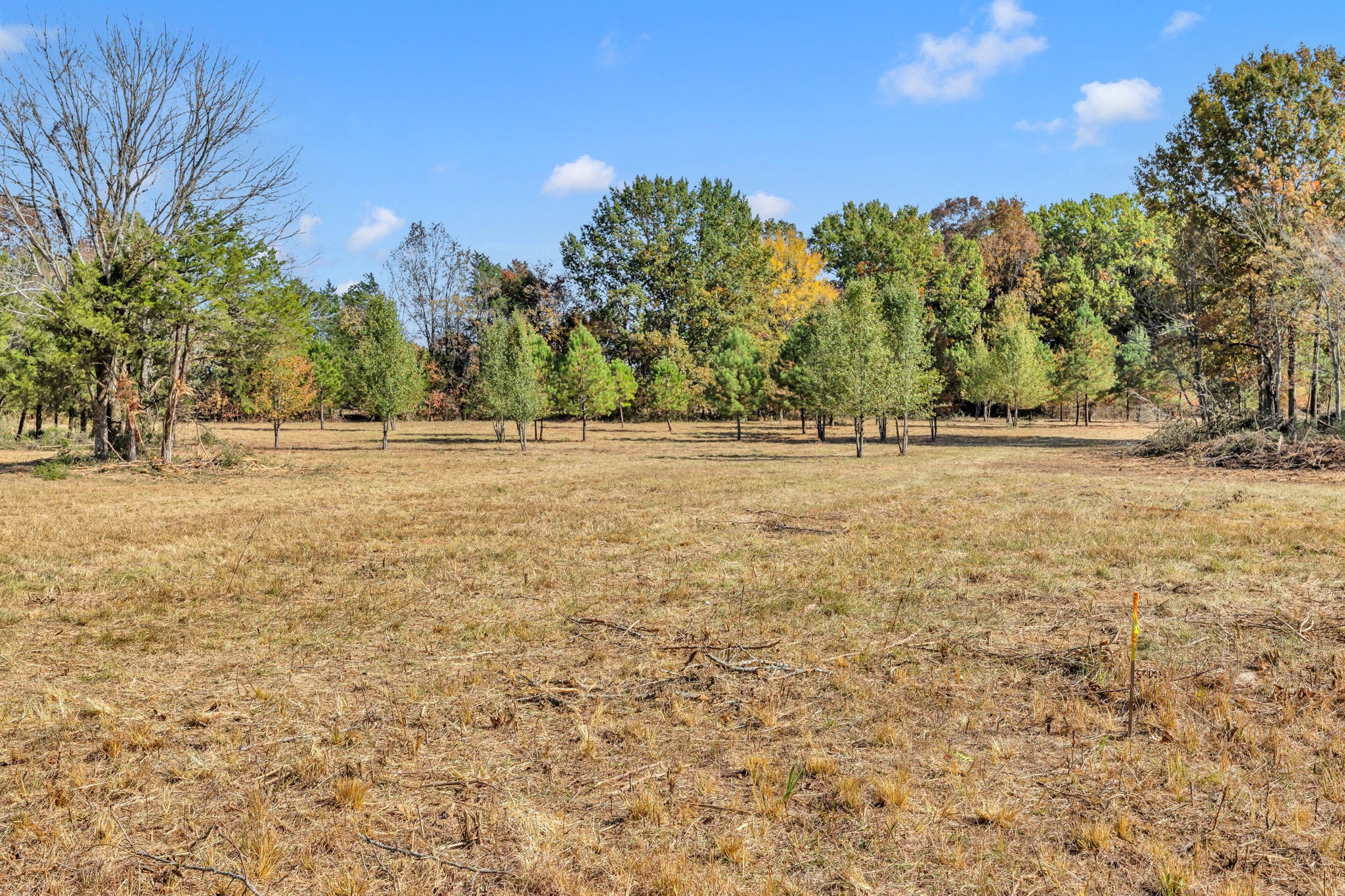 0 Bishop Road Lewisburg, TN 37091 - Photo 6 of 35 a view of dirt field with trees in the background