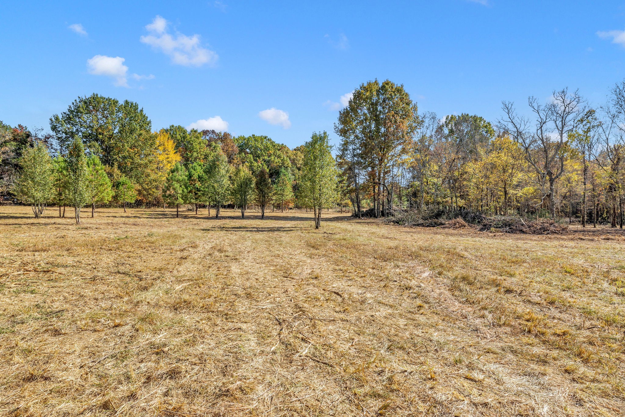0 Bishop Road Lewisburg, TN 37091 - Photo 7 of 35 a view of outdoor space with trees