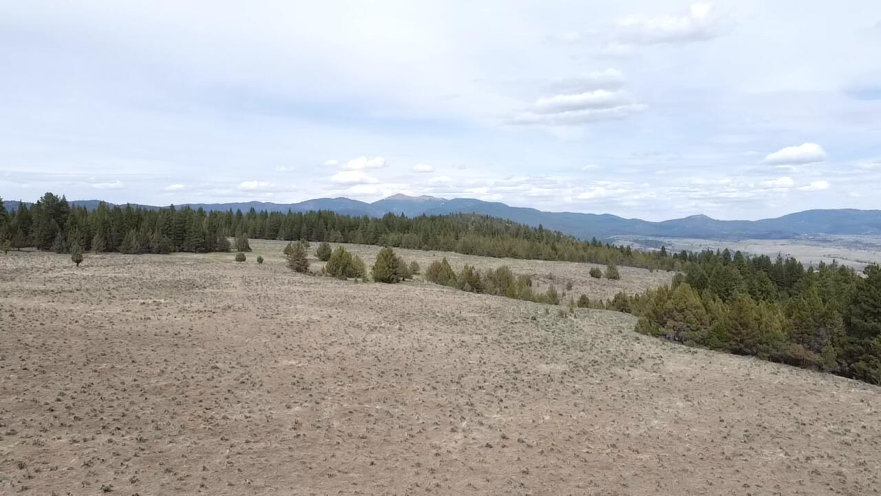 Keeney Fork Rd Prairie Prairie City, OR 97869 - Photo 10 of 61 2021-05-12-15-14-41-447