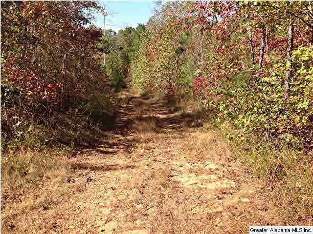 0 County Road 229, Unit 22 AC Fruithurst, AL 36262 - Photo 3 of 12