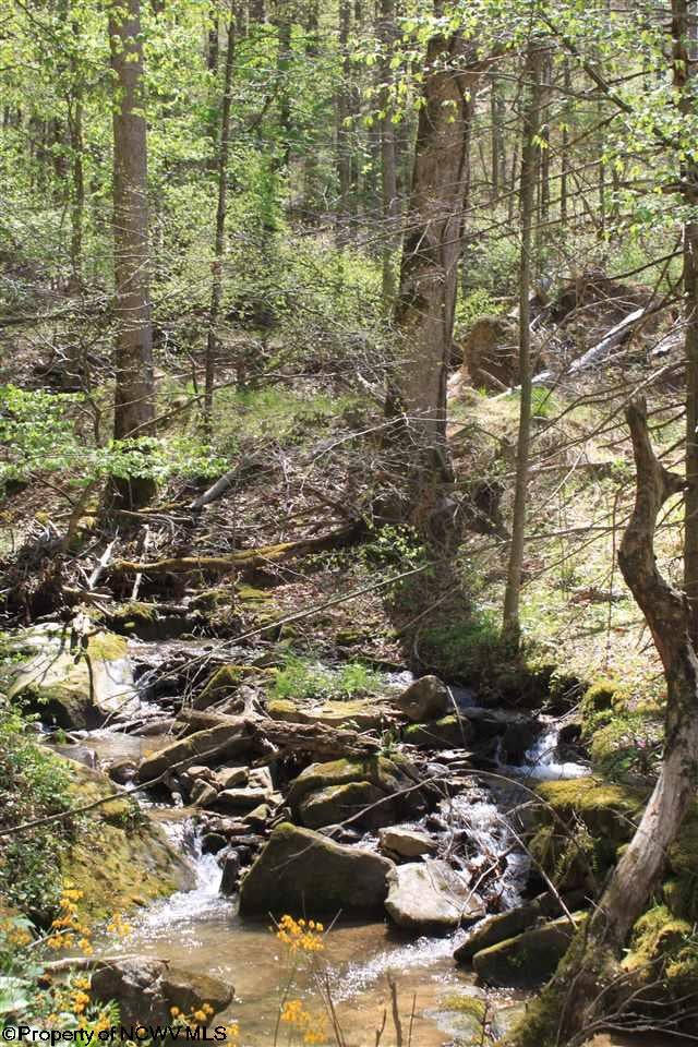 1144 Replete Road Hacker Valley, WV 26222 - Photo 4 of 6 Gallery Image 4