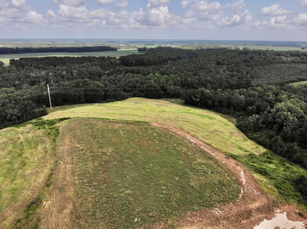 318.5-ac Goose Hollow Road Geneva, AL 36340 - Photo 50 of 50