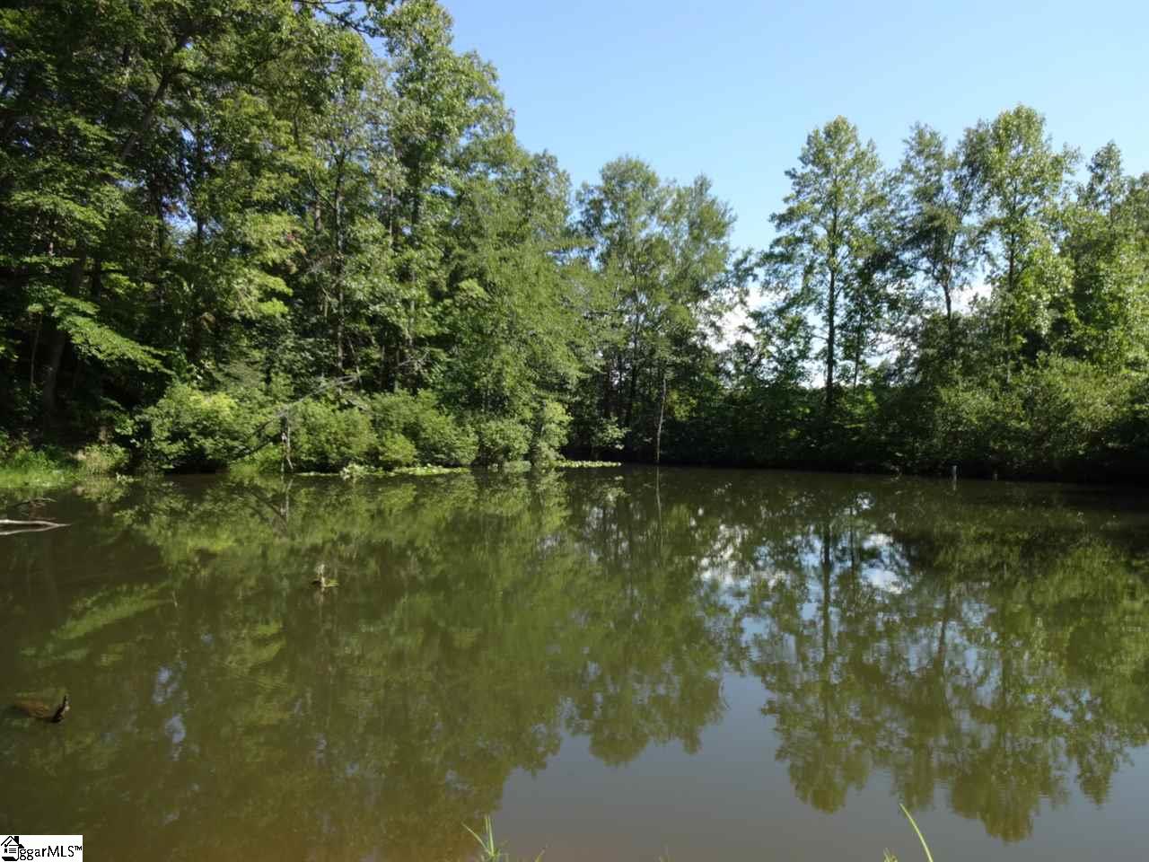 0 Garren Road Easley, SC 29640 - Photo 11 of 31
