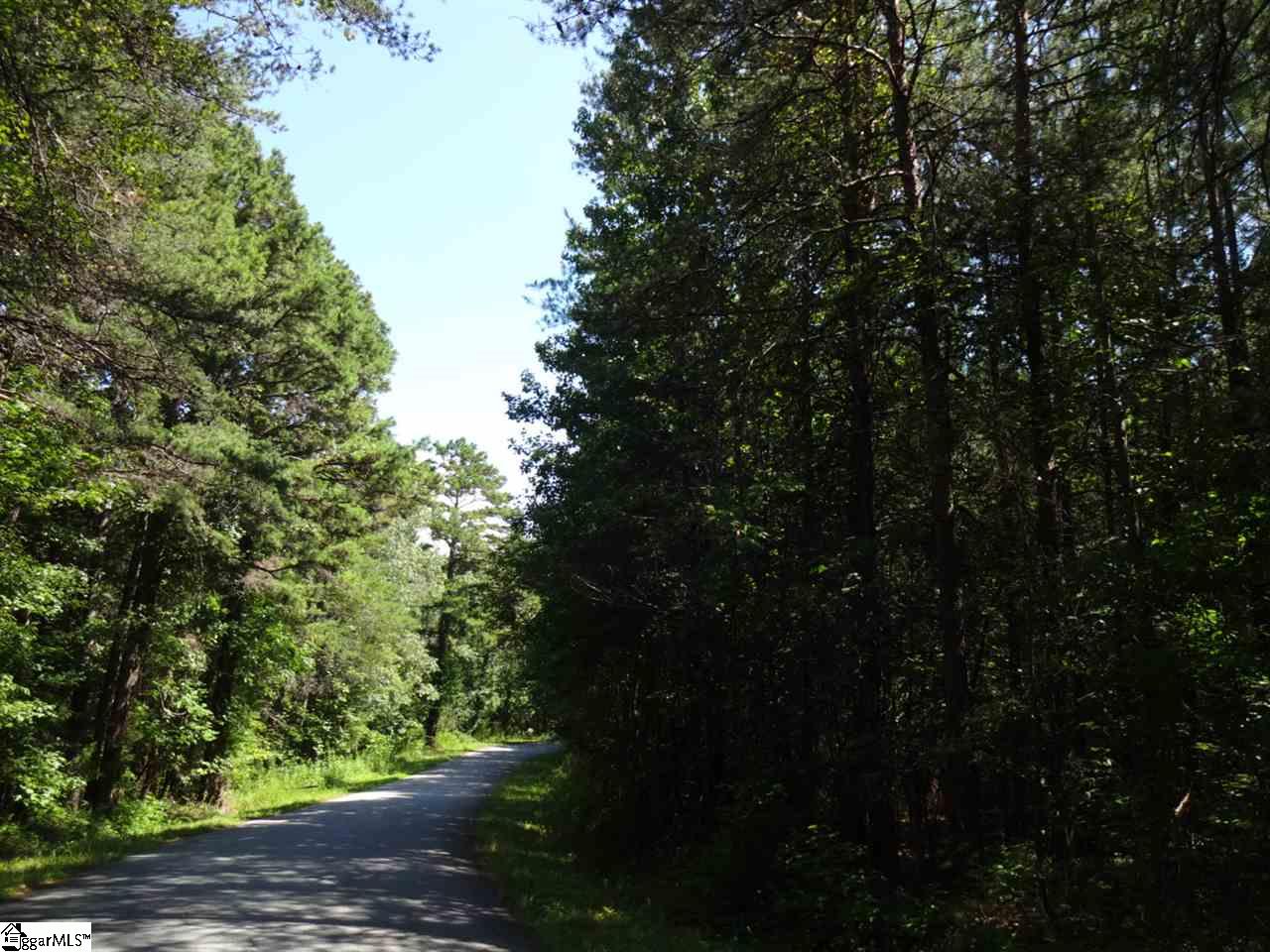 0 Garren Road Easley, SC 29640 - Photo 13 of 31