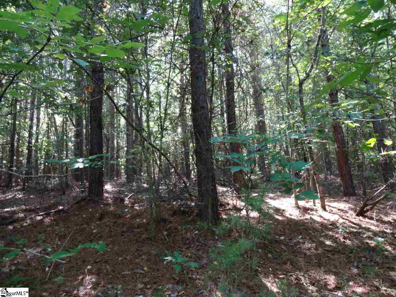 0 Garren Road Easley, SC 29640 - Photo 14 of 31