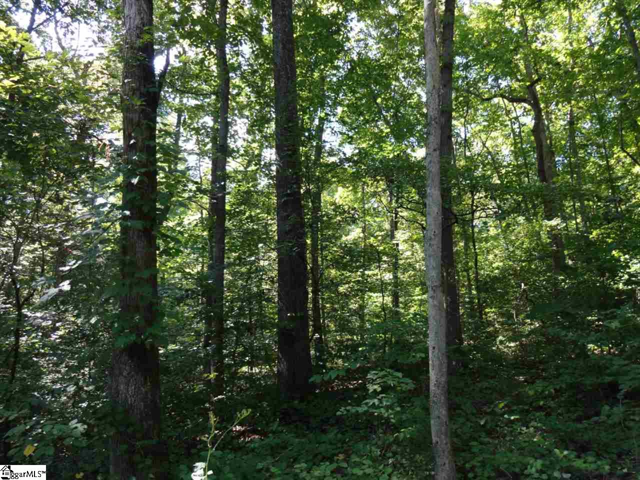 0 Garren Road Easley, SC 29640 - Photo 16 of 31