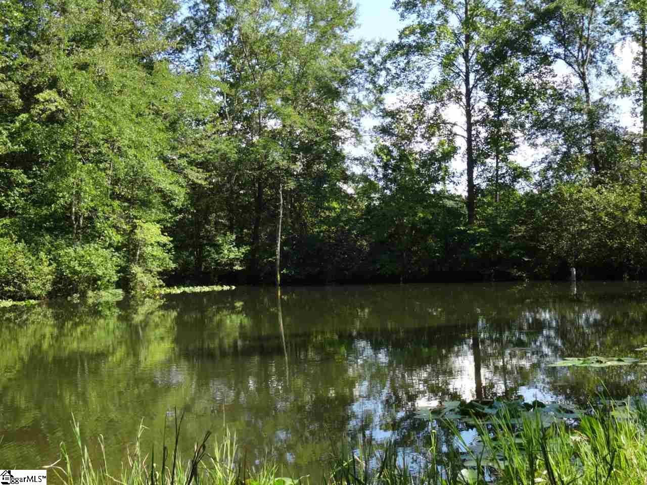 0 Garren Road Easley, SC 29640 - Photo 17 of 31