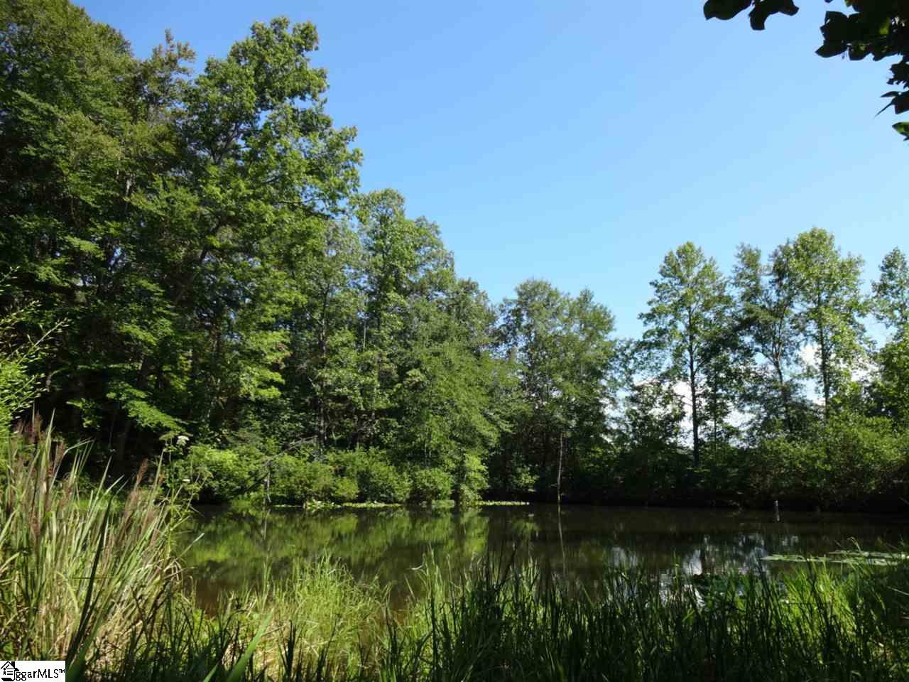 0 Garren Road Easley, SC 29640 - Photo 18 of 31