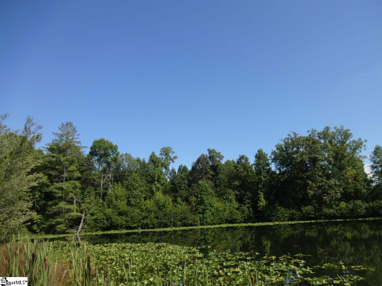 0 Garren Road Easley, SC 29640 - Photo 21 of 31