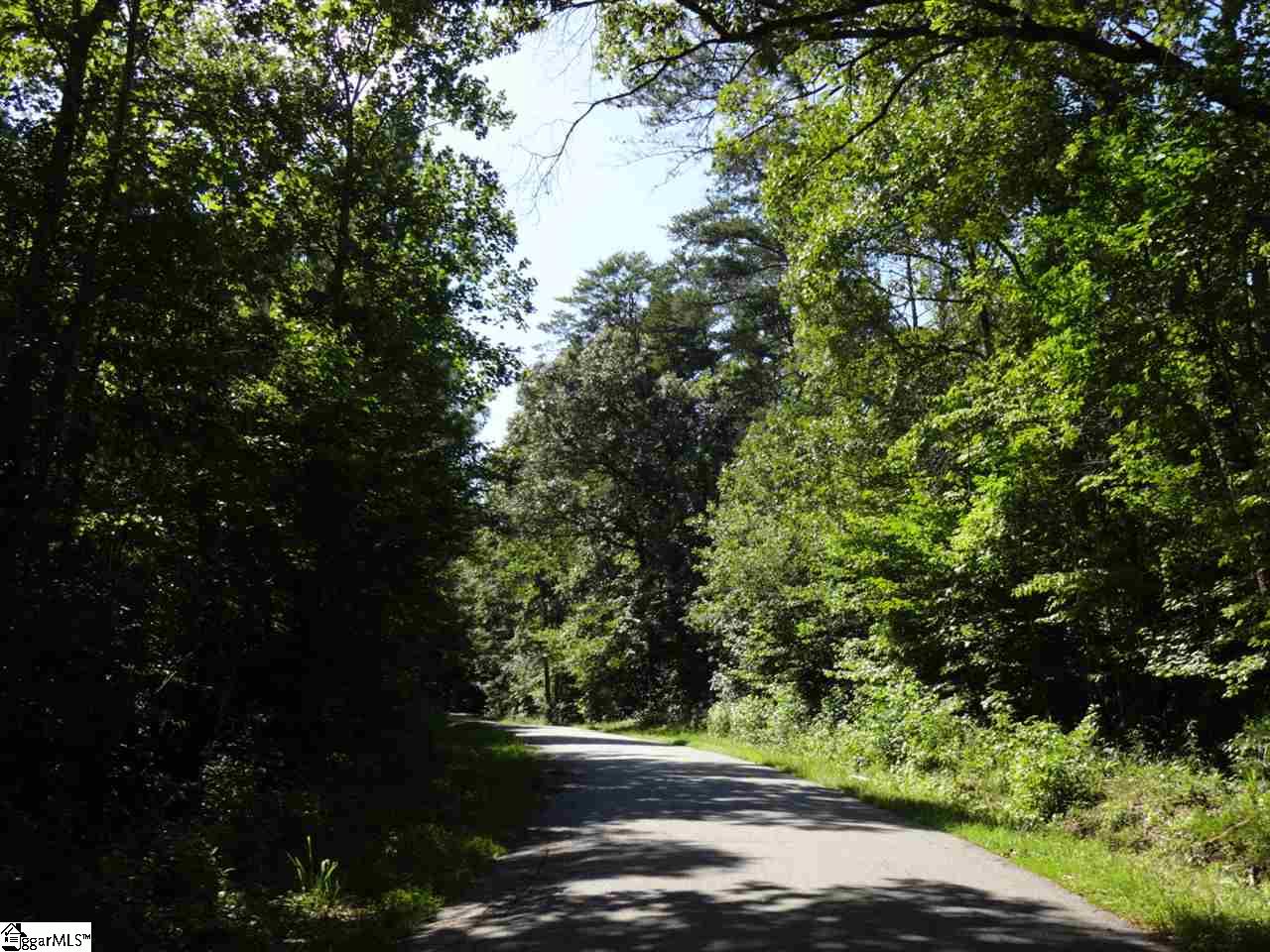 0 Garren Road Easley, SC 29640 - Photo 7 of 31
