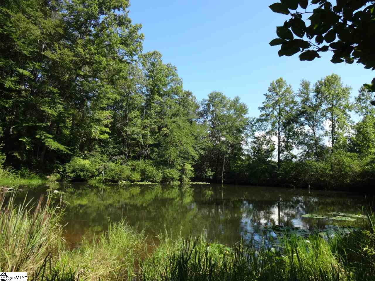 0 Garren Road Easley, SC 29640 - Photo 10 of 31