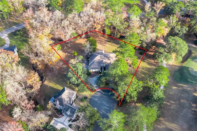 a picture of flowers