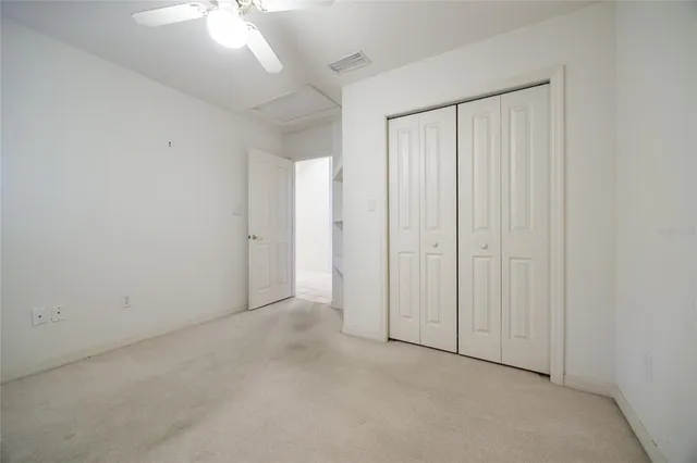 a view of a big yard with plants and large trees